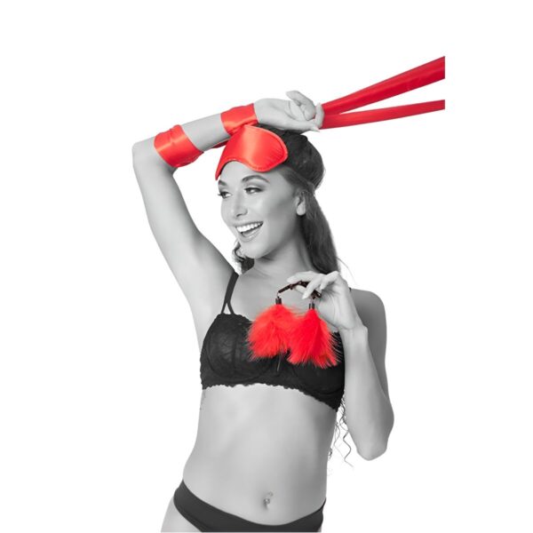 S4006253_11 S4006253_11