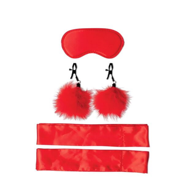 S4006253_12 S4006253_12