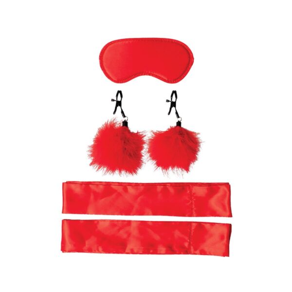 S4006253_1 S4006253_1