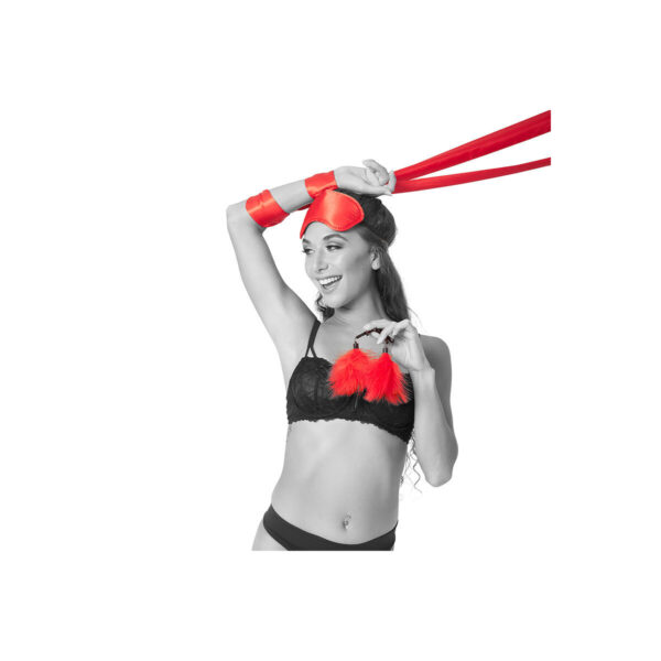 S4006253_2 S4006253_2