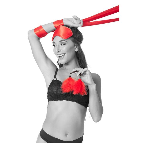 S4006253_3 S4006253_3