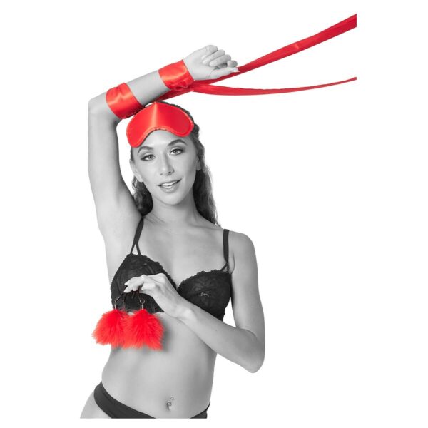 S4006253_4 S4006253_4