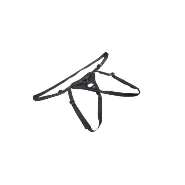 M0407363_13 M0407363_13