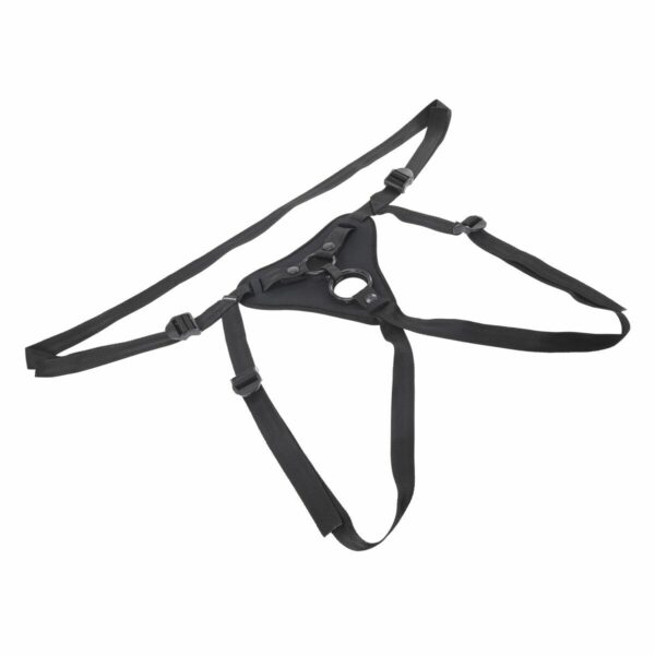 M0407363_17 M0407363_17