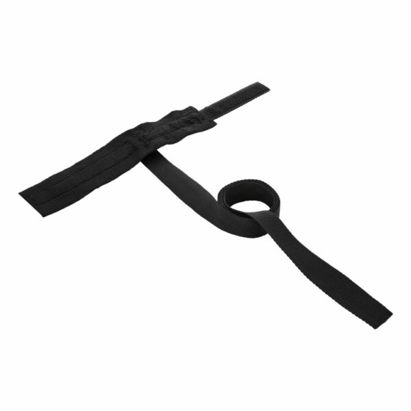 M0407361_17 M0407361_17