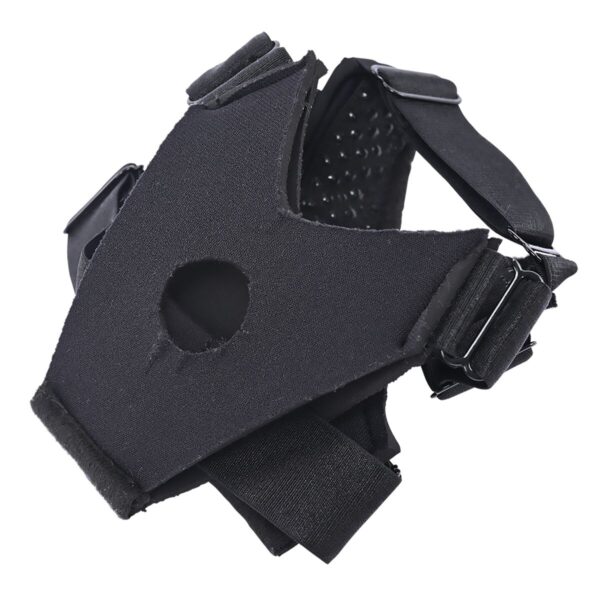 S9406289_1 S9406289_1