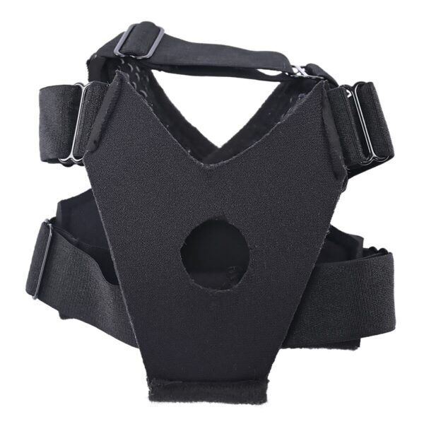 S9406289_10 S9406289_10