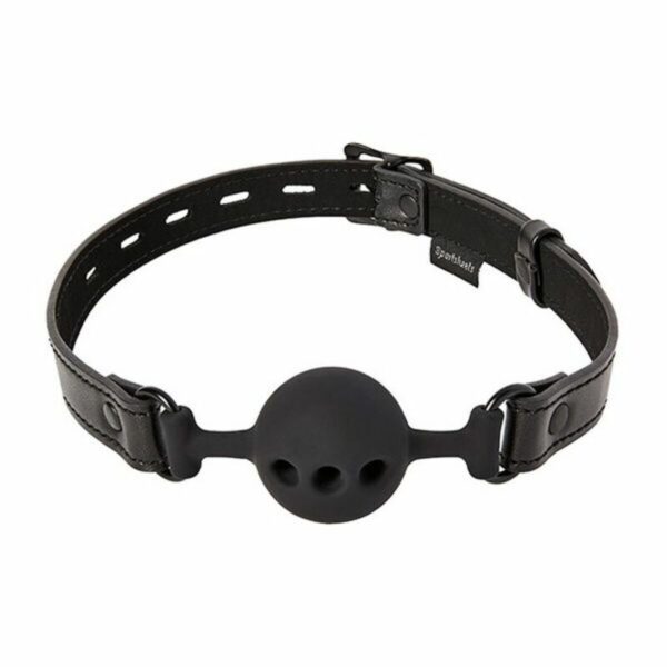 S9404384_1 S9404384_1