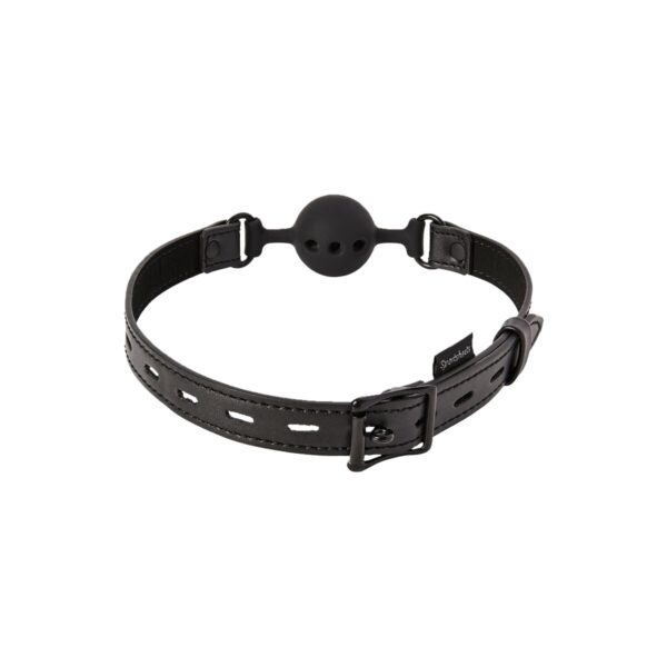 S9404384_14 S9404384_14