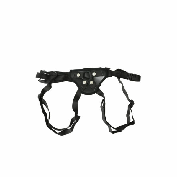 M0407364_5 M0407364_5