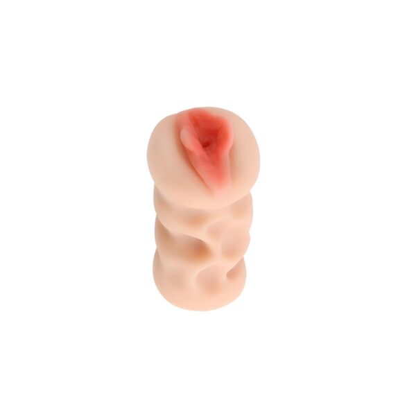 S4006160_1 S4006160_1