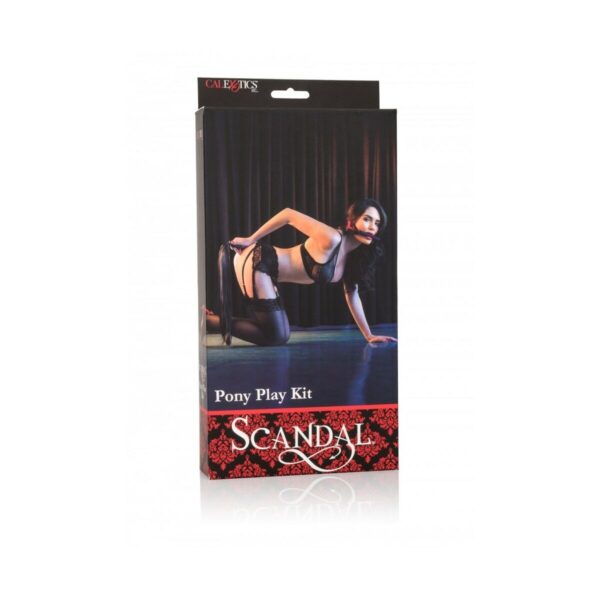 M0404309_1 M0404309_1