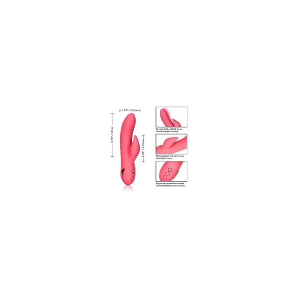 M0405511_1 M0405511_1