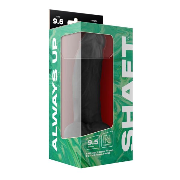 S9408094_4 S9408094_4