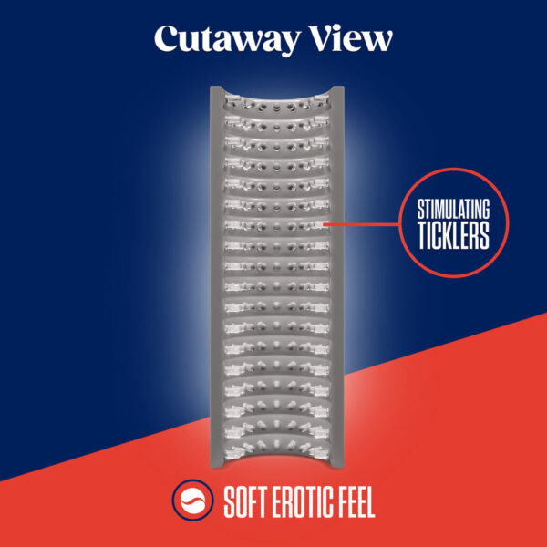 S9402498_8 S9402498_8