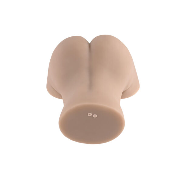 S9404879_10 S9404879_10