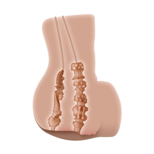 S9404879_33 S9404879_33