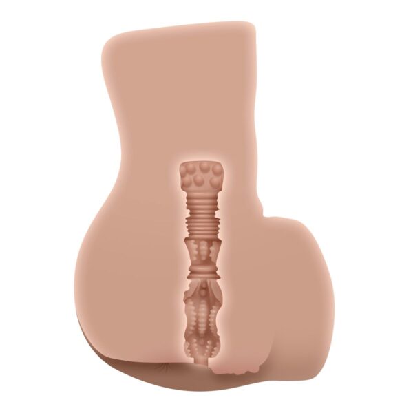 S9405137_17 S9405137_17