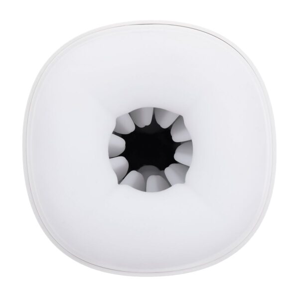 S9405129_19 S9405129_19