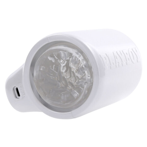 S9406244_15 S9406244_15