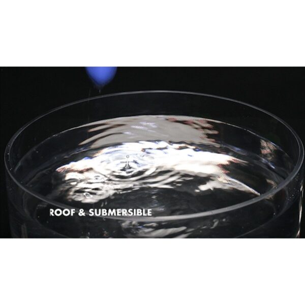 S9407928_10 S9407928_10