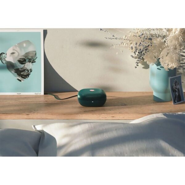 S9407684_4 S9407684_4