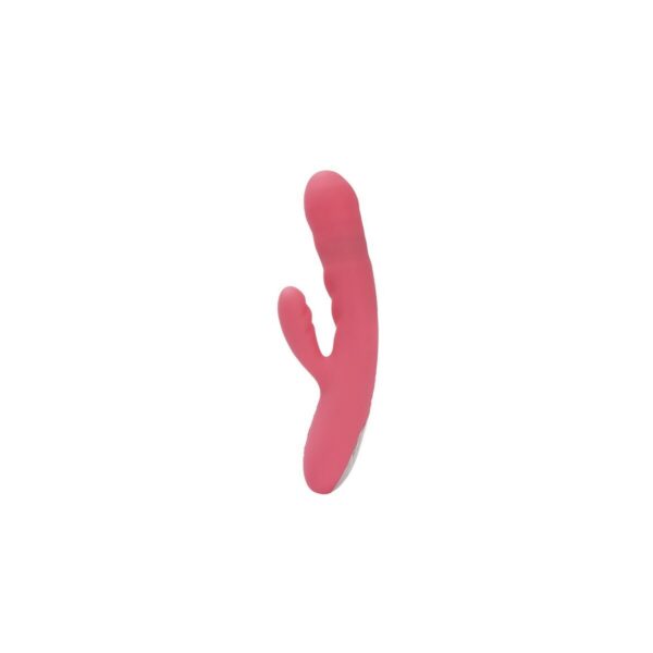 S4006251_5 S4006251_5