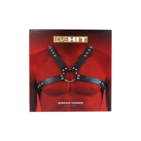 M0401161_1 M0401161_1