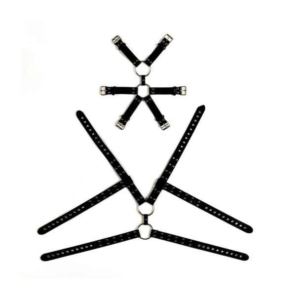 M0401166_2 M0401166_2