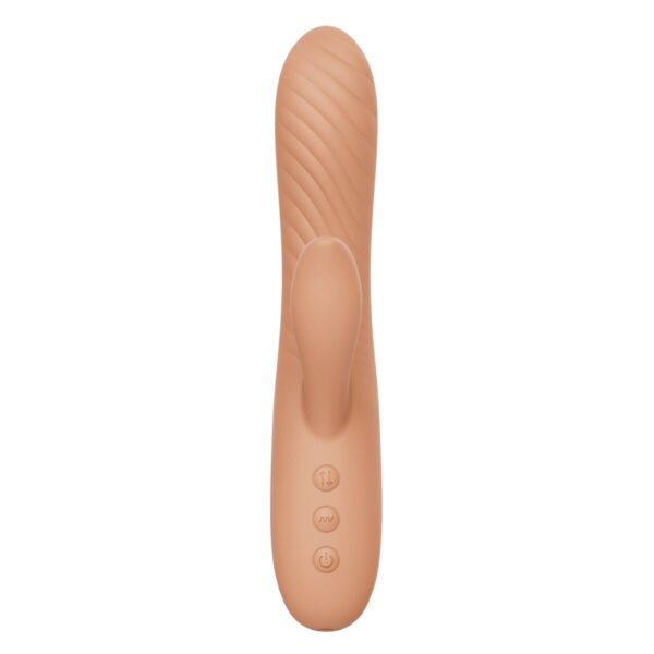 S9408081_1 S9408081_1