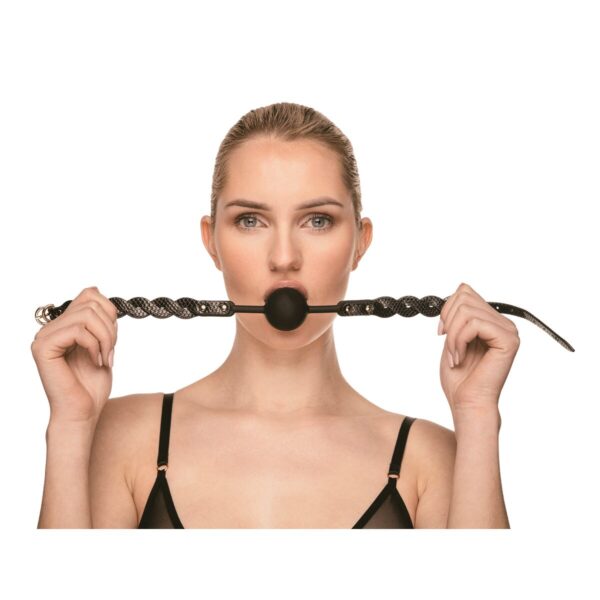 S9408188_3 S9408188_3